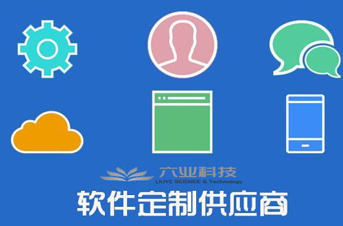 六业应用软件开发全流程解析 从构想到交付