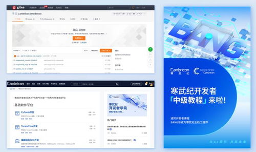 赋能创新 寒武纪多维度技术支撑，驱动开发者能力跃升与应用软件开发新浪潮